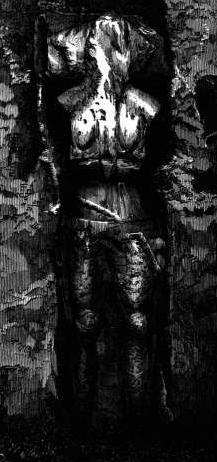 Alexander Stewart, Earl of Mar